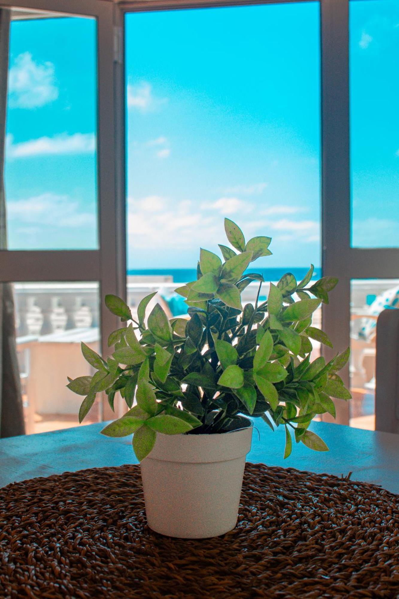 Vista Mar - Seafront Holiday Apartments Santa Maria Dış mekan fotoğraf